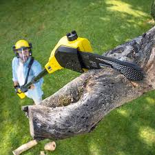 Reliable Eyota, MN Tree Removal and Landscaping Services Solutions